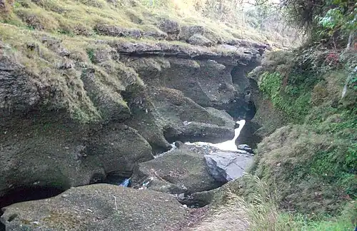 Davis Fall in full flow