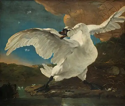 Image 11 The Threatened Swan Painting: Jan Asselijn The Threatened Swan is an oil painting made around 1650 by Dutch Golden Age painter Jan Asselijn. Depicting a life-size swan defending its nest, it has been interpreted as an allegory of grand pensionary Johan de Witt protecting the Netherlands from its enemies. The work is in the collection of the Rijksmuseum in Amsterdam in the Netherlands. More selected pictures