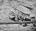Dead Confederate soldier at Petersburg, Virginia, April 1865