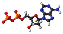 Ball-and-stick model of the adenosine diphosphate anion