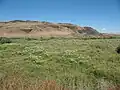 A desert meadow near Walla Walla, Washington USA