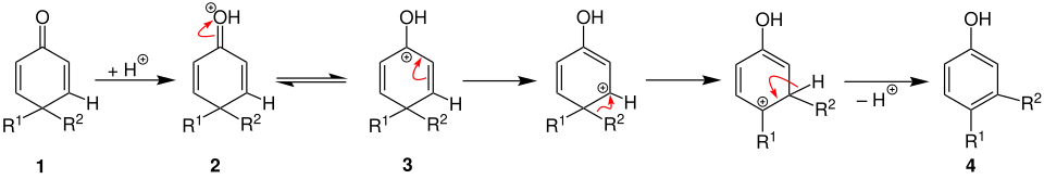 Proposed reaction mechanism of dienone–phenol rearrangement