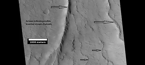 Possible inverted stream channels in Phlegra Dorsa region, as seen by HiRISE under HiWish program. The ridges were probably once stream valleys that have become full of sediment and cemented, so they became hardened against erosion which removed surrounding material.