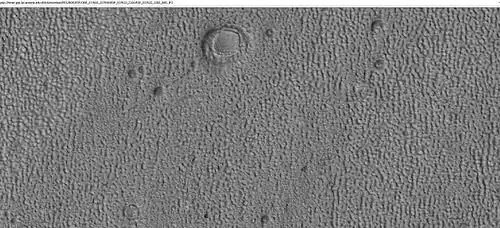 Ring mold craters of various sizes on floor of a crater, as seen by HiRISE under HiWish program. Location is Ismenius Lacus quadrangle.