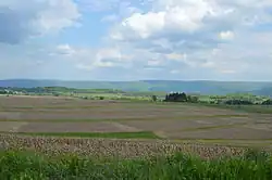 Countryside just east of Shoaf