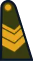 Sargento (Argentine Army)[39]