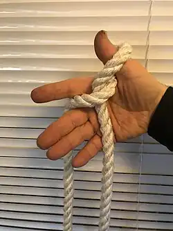 4. The ring and the little finger join the middle finger.