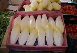 Belgian endive displayed at a market