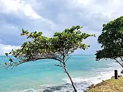 North coast of Espaillat province