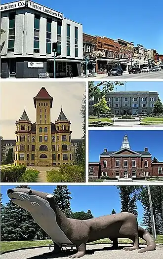Clockwise from top: Downtown Fergus Falls, Otter Tail County Courthouse, Fergus Falls City Hall, Otto the Otter in Grotto Park, Fergus Falls Regional Treatment Center (former state hospital)