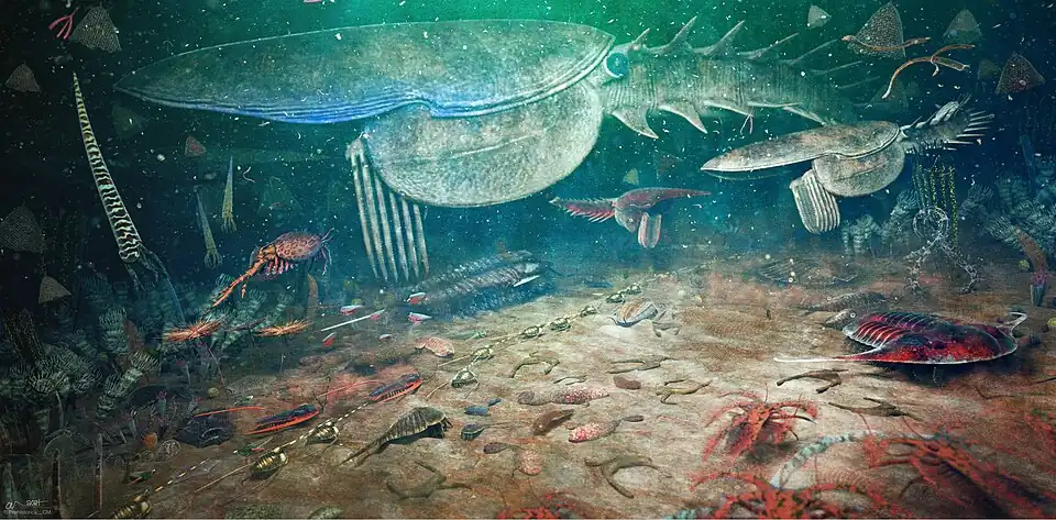 Reconstruction of the Fezouata Biota, featuring roughly 50 different species. The largest animal, Aegirocassis benmoulai (just over 2 metres in length), is depicted in a pair swimming just above the seafloor.[7]