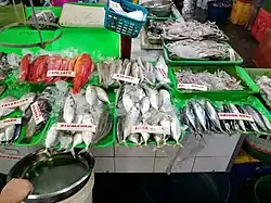 Different fish laid out in ice on green trays