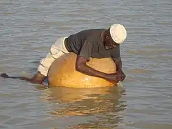 A man catching fish