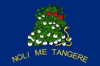 Flag of Alabama, (reverse, November 7, 1861 – November 12, 1865)