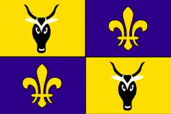 Flag of Antananarivo