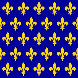 Flag of France under the Capetian dynasty since the 12th century