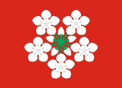 Flag of Lier Municipality