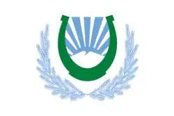 Flag of Nalchik