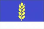 Flag of Novoselitsky District