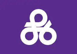 Flag of Okinawa City