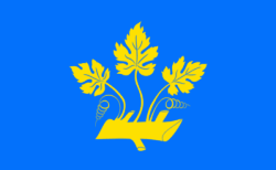 Flag of Stavanger Municipality