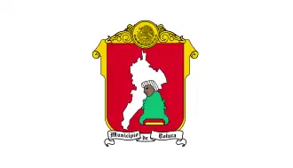 Flag of Toluca