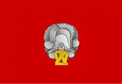 Flag of the Commander in chief of the Military Gendarmerie