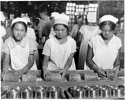 3 women working at a pineapple cannery in Hawaii. Their job is to pack the pineapples into cans.