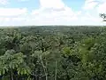 Chiquibul Forest Reserve, Belize