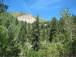 Grandview Peak landslide scarp on south slope