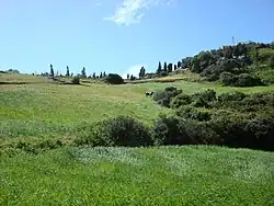 A green field near Taghramt