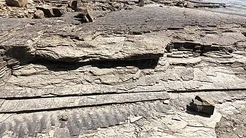 Ripple marks 35°00′02.0″N 127°55′09.6″E﻿ / ﻿35.000556; 127.919333