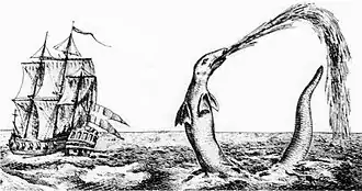 Sea serpent reported by Hans Egede in 1734, probably a giant squid