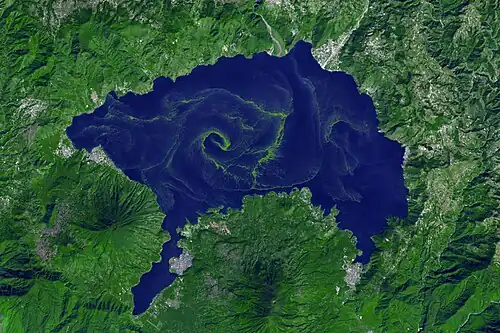 A harmful bloom of cyanobacteria (blue-green algae) spread across the lake (false color image)