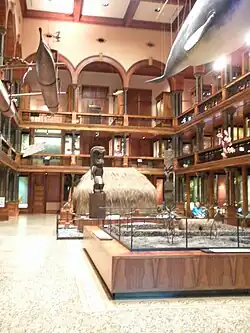 Hawaiian Hall, with a heiau recreation in miniature (2012)