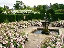 Rose garden at Hever Castle in Kent, United Kingdom