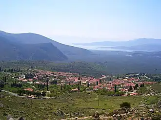 Chrisso overlooking the sea of olives, gulf in the background