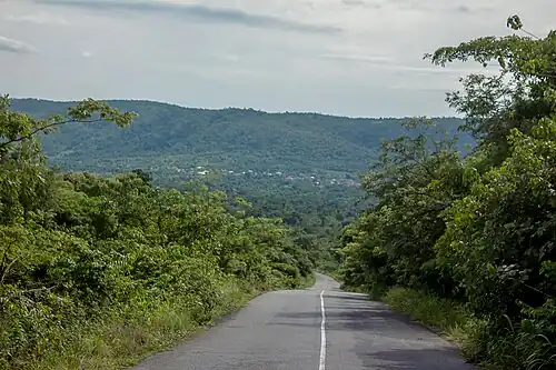 Hill forest near Ikogosi