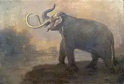 Imperial mammoth