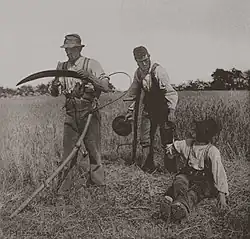 Traditional barley harvest by hand with scythes, England, c. 1886. Photo Peter Henry Emerson