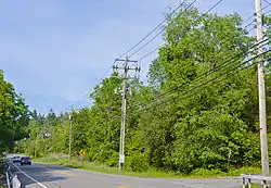 A road in a wooded area with another road going off to the right. There are tall trees and dense underbrush on the corner opposite. Telephone poles line the right side, and two cars are approaching in the distance.