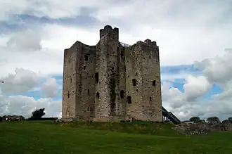 Trim Castle, home to Geoffrey de Geneville
