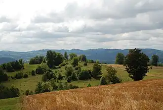 Mountain Jablanik in autumn