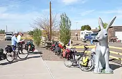 The eponymous large Jack Rabbit