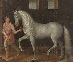 Spanish battle stallion 1603.