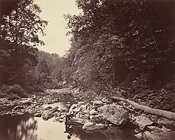 Broadhead’s Creek, Delaware Water Gap, 1863, albumen silver print, 26.1 x 34&nbsp;cm (10 3/8 × 13 in.) National Gallery of Art, Washington, D.C.