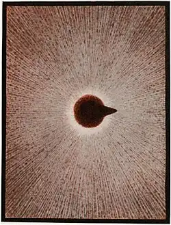 Tupinambis nigropunctatus (Turned)