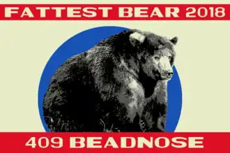 Poster with a picture of a fat bear and the words "Fattest Bear 2018: 409 Beadnose"