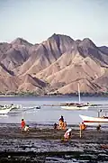 Komodo National Park