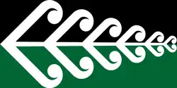 James Bowman's suggested New Zealand flag. The Koru Fern combines two iconic New Zealand symbols: the silver fern and the koru. It was one design that helped stimulate debate prior to official submissions and was submitted to the New Zealand Government as an alternate design for the New Zealand Flag in 2015.[11][12][13]